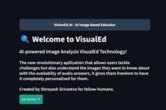 VisualAid.Ai – screenshot 1