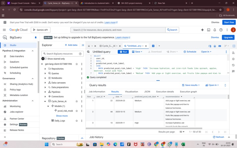 AI-Powered Women’s Health Insight and Predictive System – screenshot 13