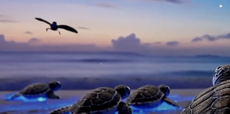 Vast Ocean- Teaser – screenshot 6