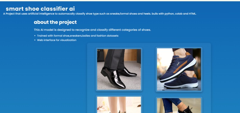smart shoe classifier AI – screenshot 10