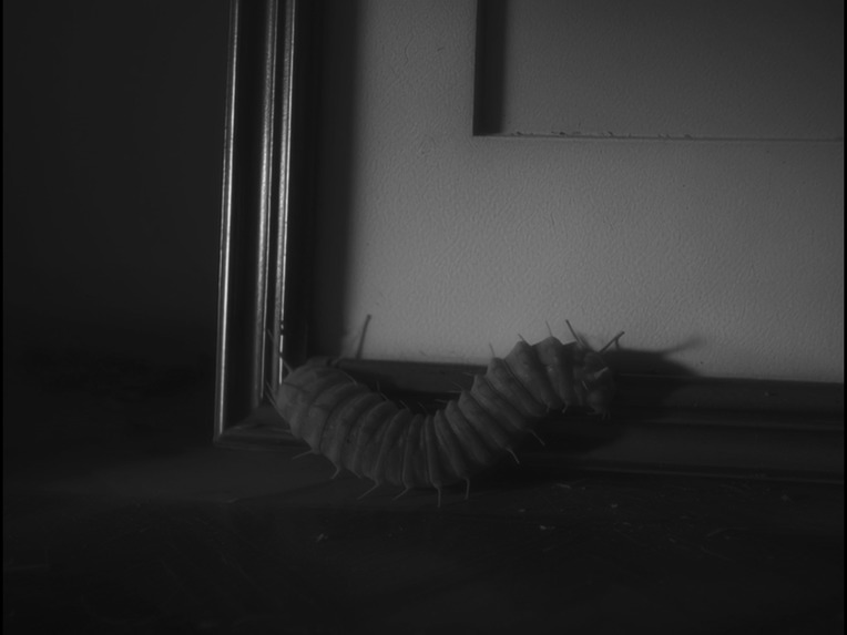 BEOL-LAE – screenshot 3