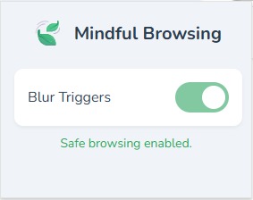 Mindful Browsing – screenshot 1