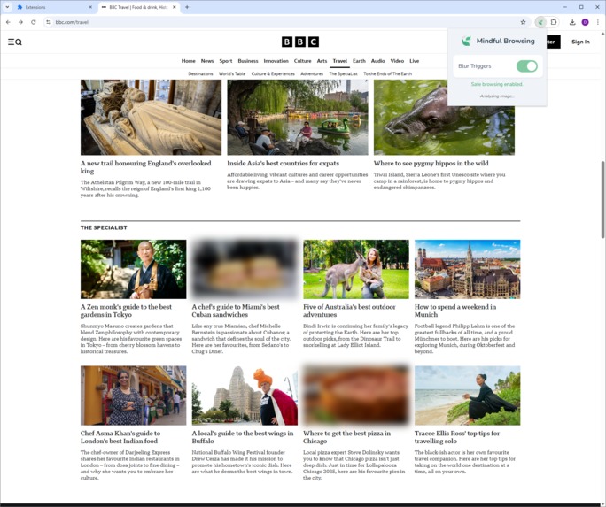 Mindful Browsing – screenshot 2