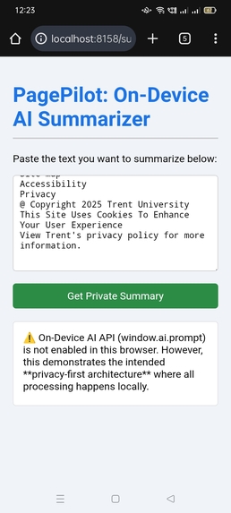 PagePilot: On-Device AI Summarizer – screenshot 1