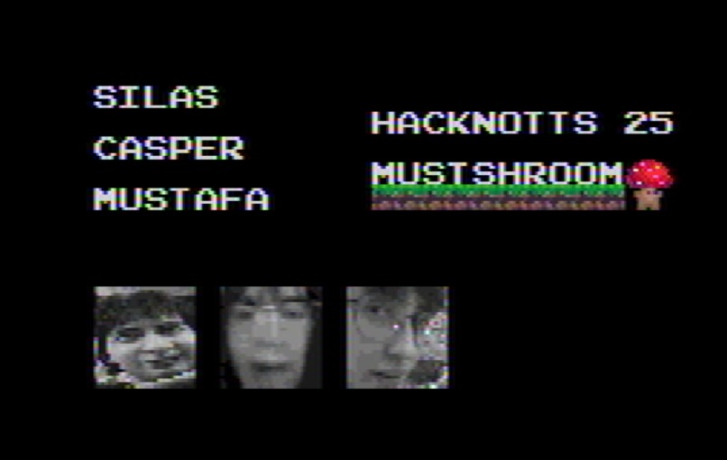 Team 52: Super MustShroom – screenshot 1