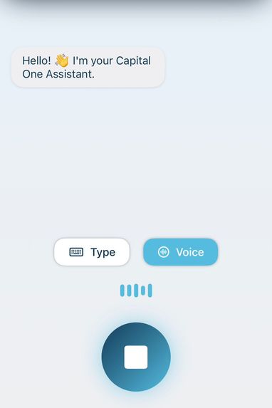 Capital One Guardian – screenshot 2