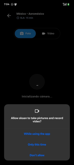 Skaan – screenshot 3