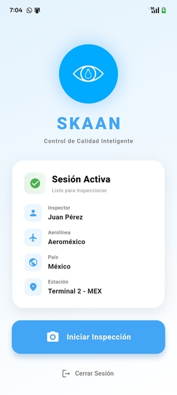 Skaan – screenshot 7
