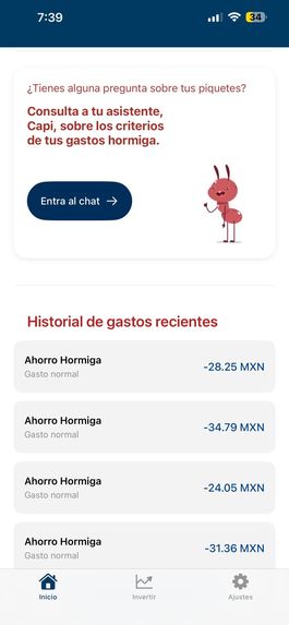 ANT-icipa – screenshot 4