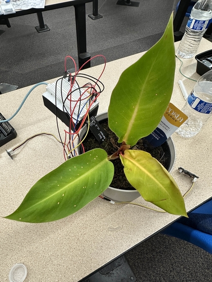 Garden Guardian – screenshot 3