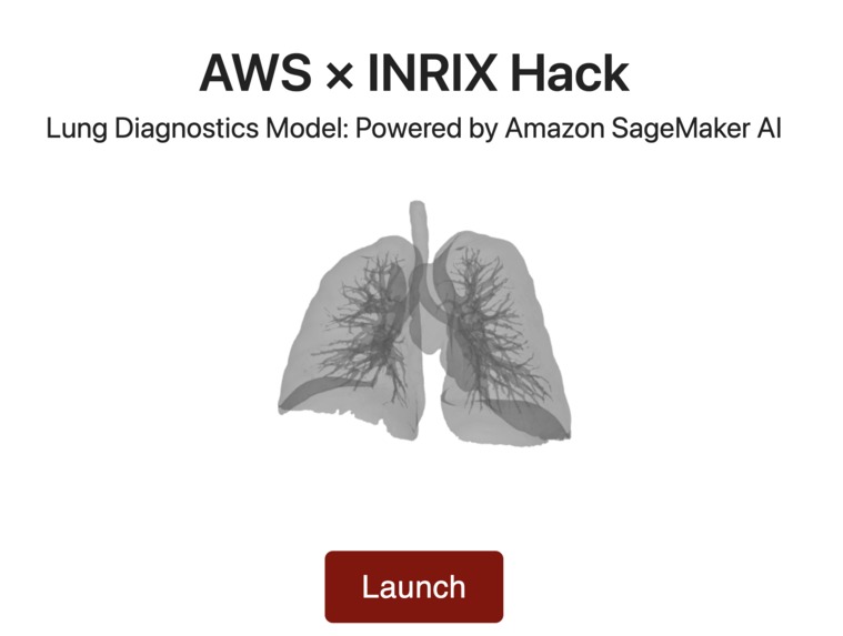 Lung Disease Detection Model – screenshot 1