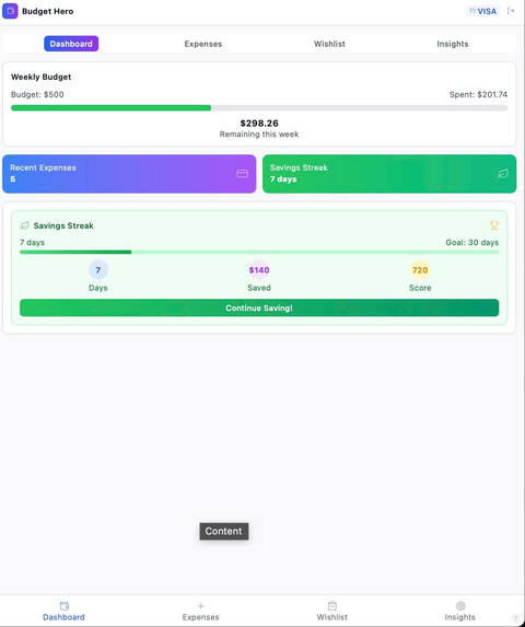 Budget Hero – screenshot 1