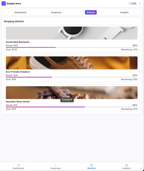 Budget Hero – screenshot 3
