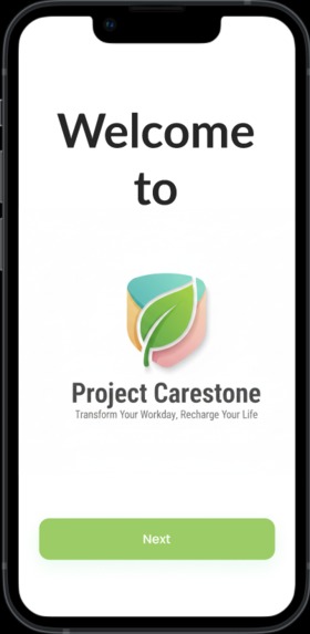 Project Carestone  – screenshot 3