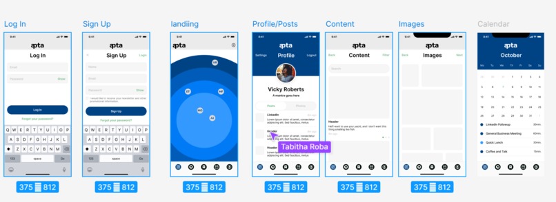 Apta – screenshot 1