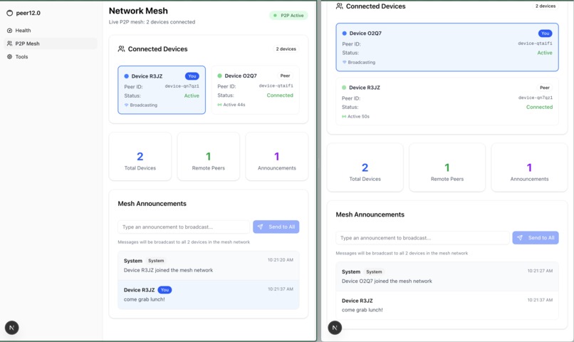 Peer 12.0 – screenshot 3
