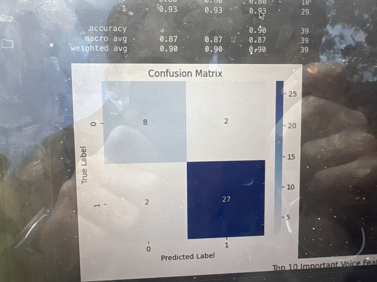 NeuroVoice  – screenshot 1