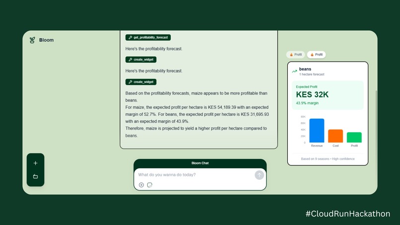 Bloom – screenshot 2