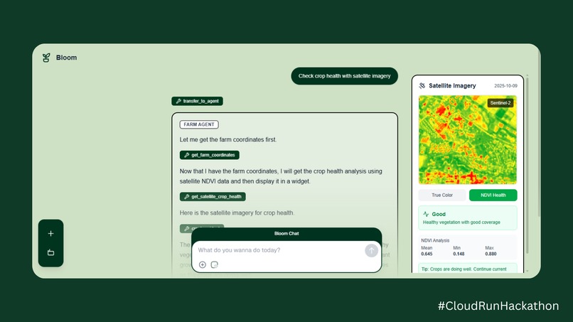 Bloom – screenshot 3