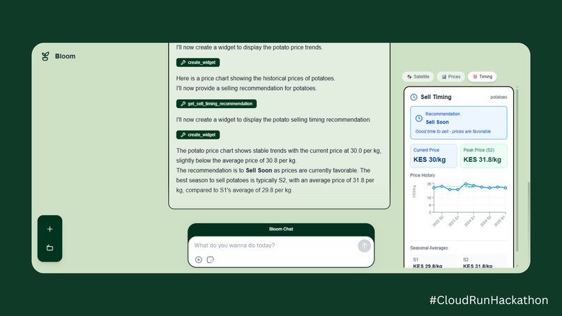 Bloom – screenshot 5