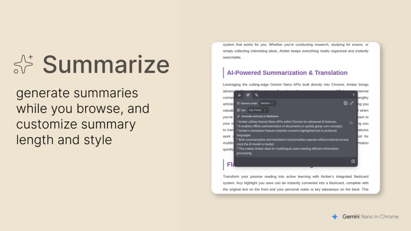Amber - Highlight, Annotate, Summarize & Translate – screenshot 3