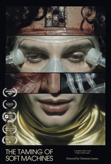 The Taming of Soft Machines – screenshot 5