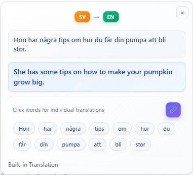 Veris the Translator – screenshot 1