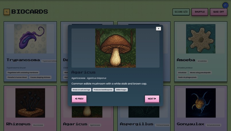 BioSpaceArcade – screenshot 5