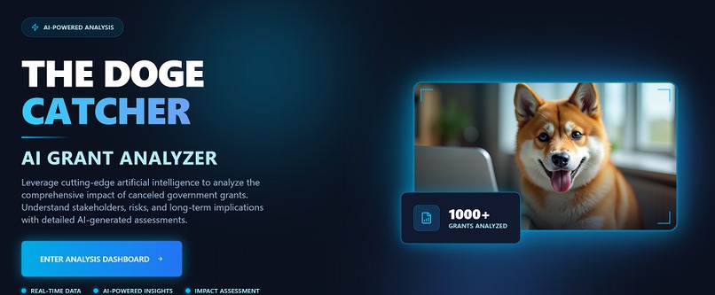 The Doge Catcher – screenshot 2