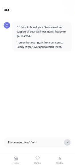 Bud.ai – screenshot 2