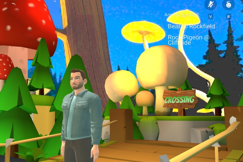 Animal Catch – screenshot 4