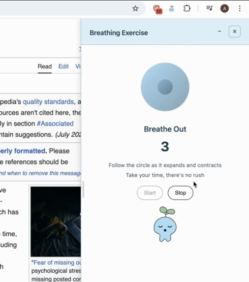 Mindful Web - Stay calm and on track – screenshot 2