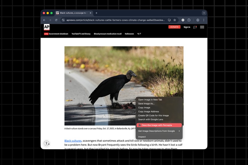 Percepta – screenshot 2