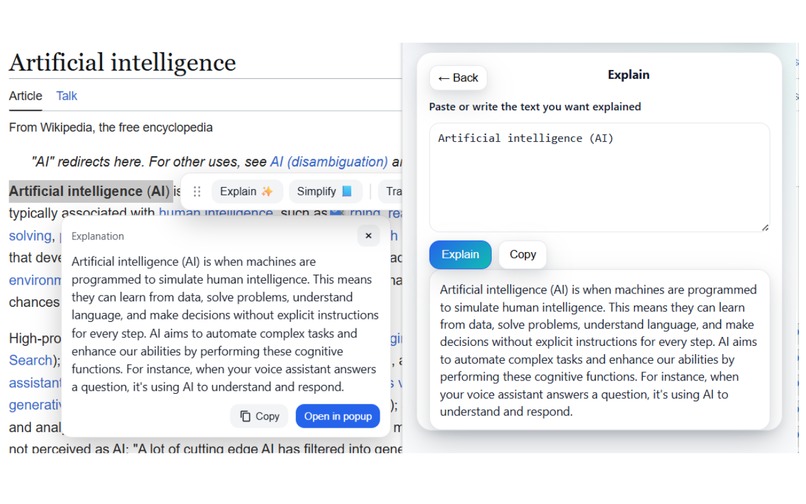 AccessiAI – Making the Web Accessible for Everyone – screenshot 2