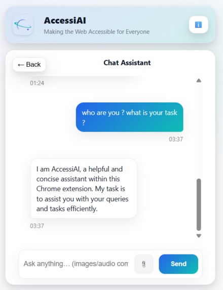 AccessiAI – Making the Web Accessible for Everyone – screenshot 5