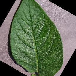 LeafLens – screenshot 2