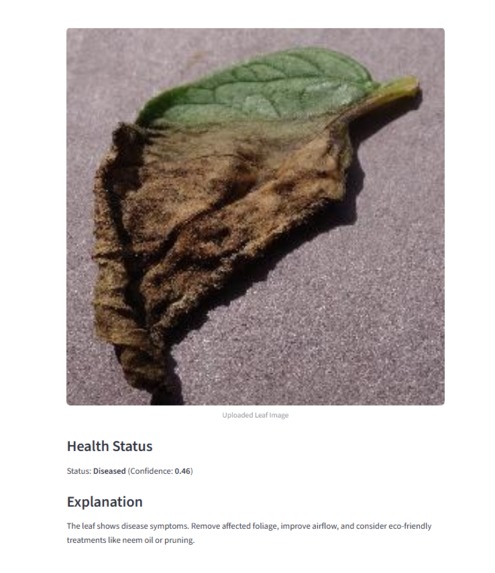 LeafLens – screenshot 3