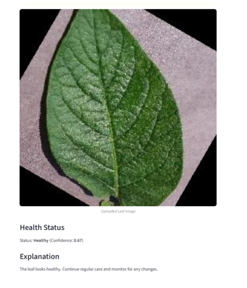 LeafLens – screenshot 4