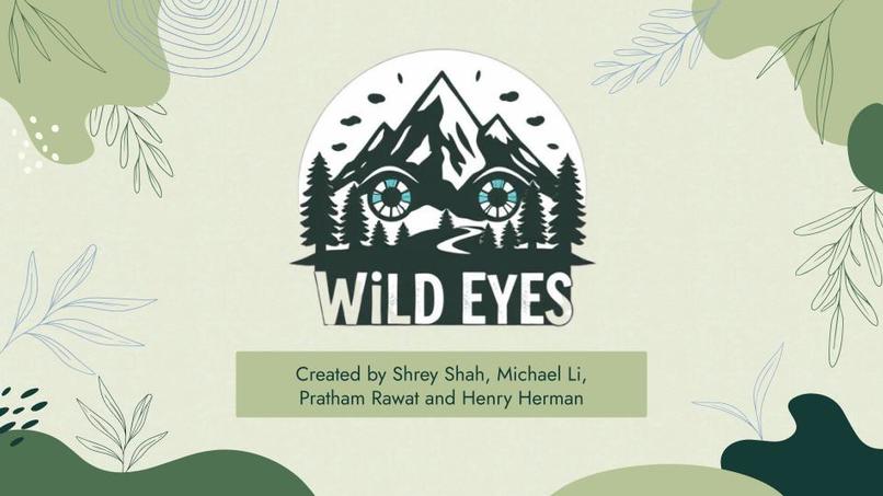 Wild Eyes – screenshot 1