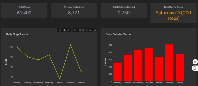  Phisycal Activity Dashboard – screenshot 2