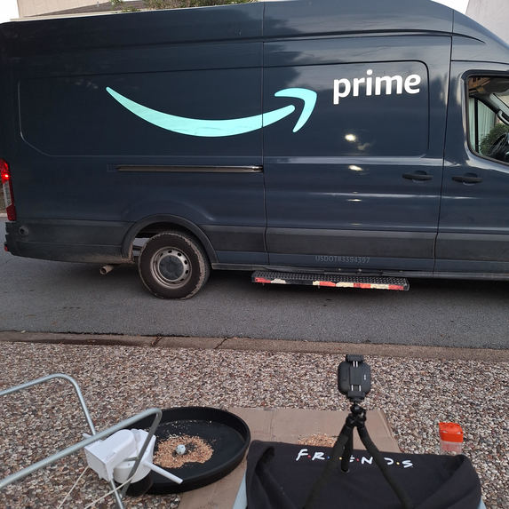 AI Bird Watch – screenshot 3