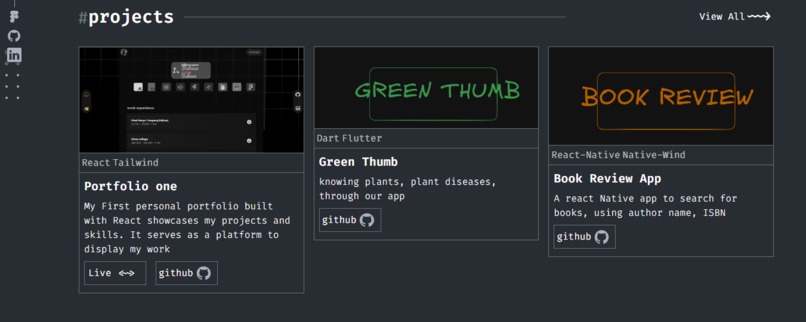 Kubasu Ivan Sakwa Portfolio – screenshot 3