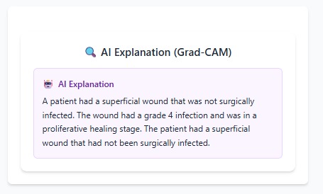Dermal Intelligence System (DIS) – screenshot 9