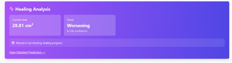 Dermal Intelligence System (DIS) – screenshot 13