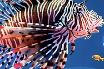 Not From This Current