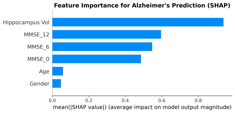NeuroEcho Predictor - AI for Early Alzheimer's Detection – screenshot 1