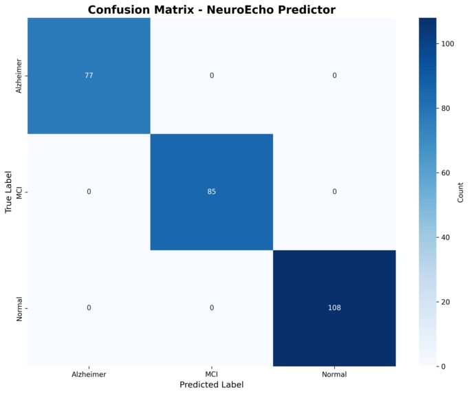 NeuroEcho Predictor - AI for Early Alzheimer's Detection – screenshot 2