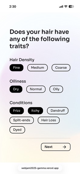 SnapRec – screenshot 4