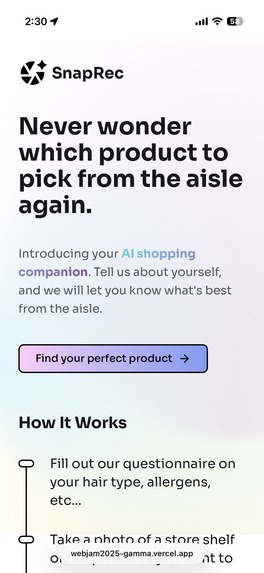 SnapRec – screenshot 1