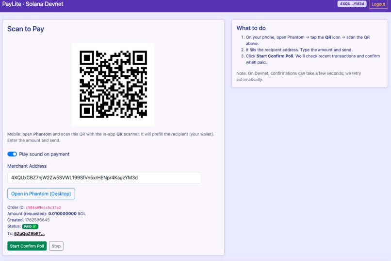 PayLite – screenshot 1
